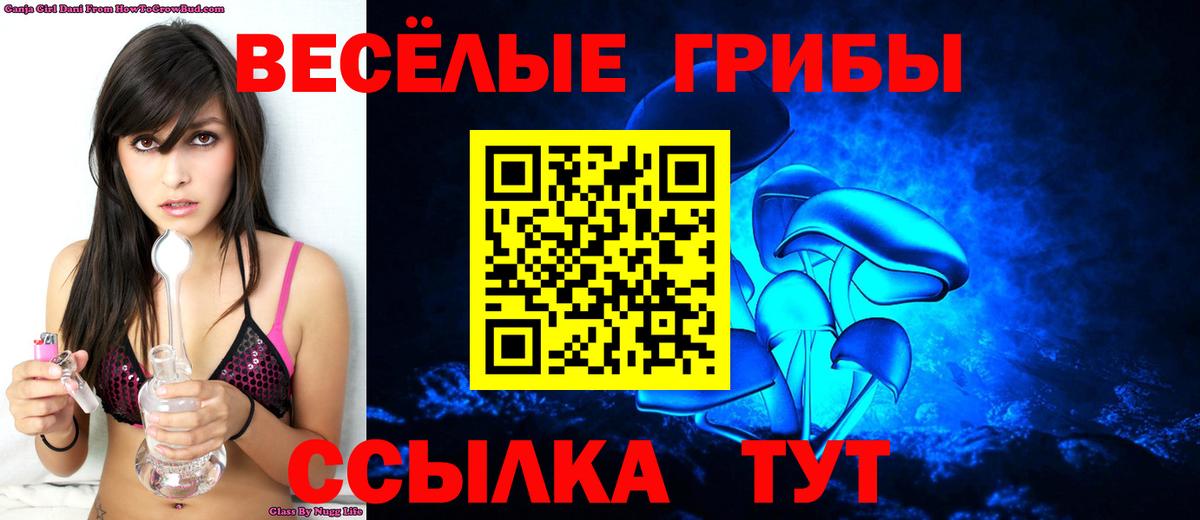 Кингисепп  Псилоцибиновые грибы Magic Shrooms  Псилоцибиновые грибы MAGIC MUSHROOMS  Вход с VPN 